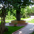 Asia Mountains Hotel. Bishkek hotels