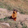 Pictures of Kyrgyzstan nature
