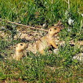 Pictures of Kyrgyzstan nature