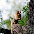 Pictures of Kyrgyzstan nature