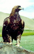 Pictures of Kyrgyzstan nature