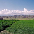 Pictures of Tashkent