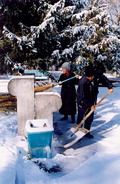 Pictures of Tashkent