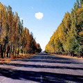 Pictures of Tashkent