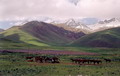 Pictures of Tashkent