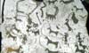 Pictures of Petroglyphs