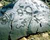 Pictures of Petroglyphs