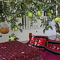 restaurants and cafes in Osh