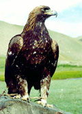 Pictures of Kyrgyzstan